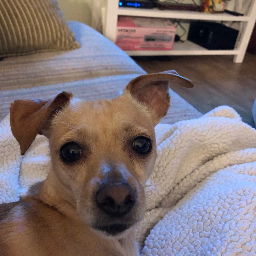 Meet your Posher, Rosa